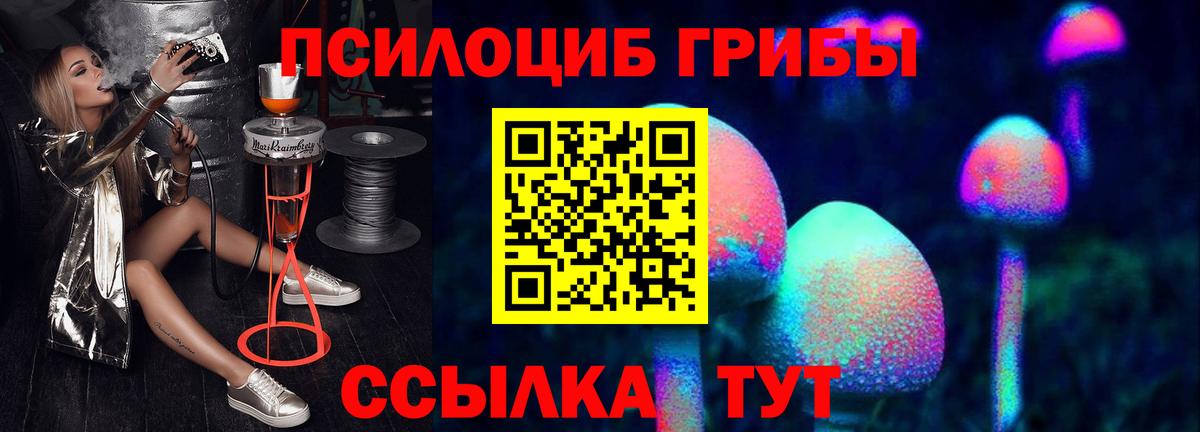 Галлюциногенные грибы Magic Shrooms Брянск